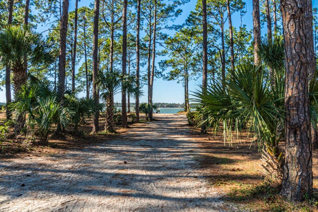 1686 Bluff Villas Renovated Sleeps 8 Walk To Salty Dog Sea Pines Hilton Head Island Eksteriør billede